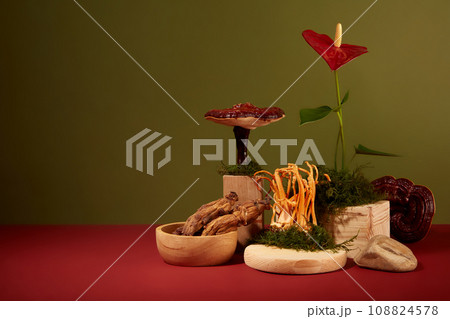 Front view of cordyceps, red ginseng roots and lingzhi mushroom displayed on wooden podiums with green moss and red flower. Dark green background with empty space for design and copy space 108824578