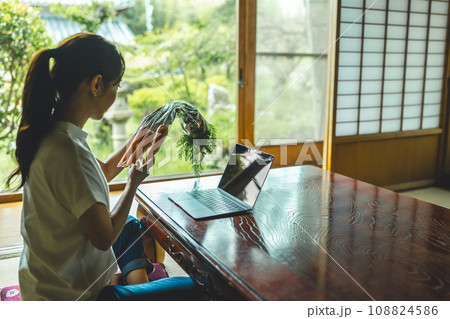 和室の女性 108824586