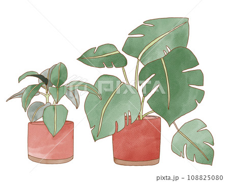 Home indoor green decor watercolor hand-style illu 108825080