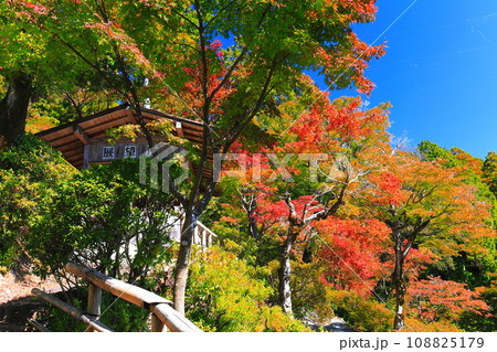 【佐賀県】晴天の大興善寺の紅葉 108825179