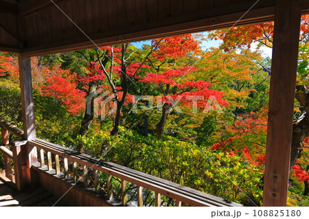 【佐賀県】晴天の大興善寺の紅葉 108825180