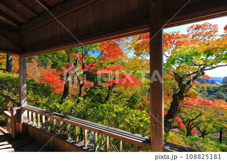 【佐賀県】晴天の大興善寺の紅葉 108825181