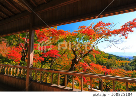 【佐賀県】晴天の大興善寺の紅葉 【佐賀県】晴天の大興善寺の紅葉 108825184