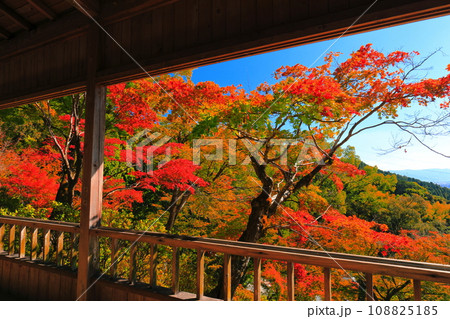 【佐賀県】晴天の大興善寺の紅葉 108825185