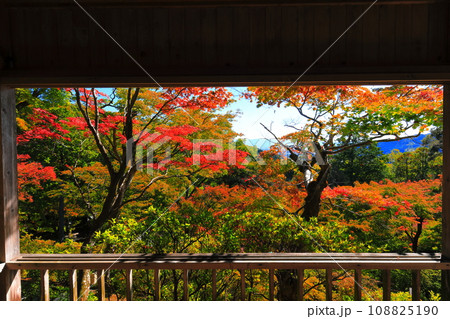 【佐賀県】晴天の大興善寺の紅葉 108825190