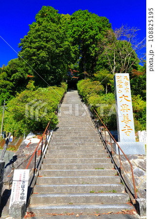 【佐賀県】晴天の大興善寺の石段（きぼうの坂） 108825195