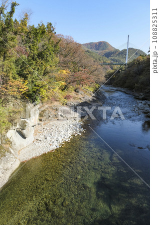利根川が流れる紅葉が進んだ諏訪峡 108825311