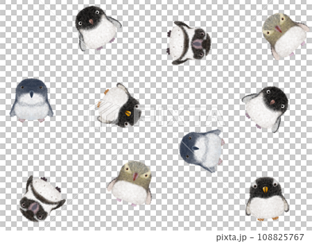 Fluffy bird seamless pattern E②-5 108825767