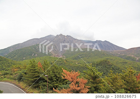 桜島 湯之平展望所から 桜島 湯之平展望所から 108826675