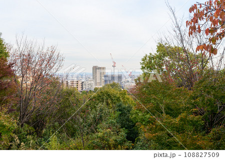 宝塚　夕景 108827509