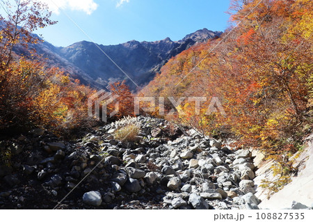 紅葉と一の倉沢・谷川岳 108827535