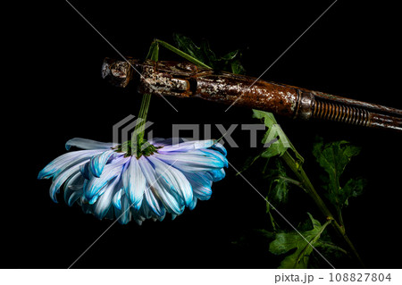 Composition with an old rusty wrench and chrysanthemum flower 108827804