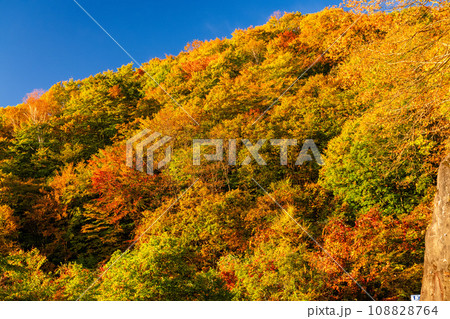 《栃木県》紅葉最盛期の日光いろは坂・夜明けの黒髪平の眺望 《栃木県》紅葉最盛期の日光いろは坂・夜明けの黒髪平の眺望 108828764
