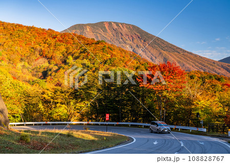 《栃木県》紅葉最盛期の日光いろは坂・夜明けの黒髪平の眺望 108828767