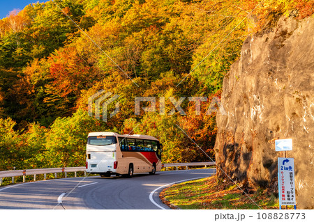 《栃木県》紅葉最盛期の日光いろは坂・夜明けの黒髪平の眺望 《栃木県》紅葉最盛期の日光いろは坂・夜明けの黒髪平の眺望 108828773