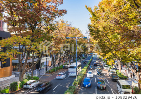 秋の表参道 108829426