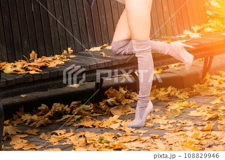 Fashion image of perfect long slim woman legs in autumn park. Fashion image of perfect long slim woman legs in autumn park. 108829946