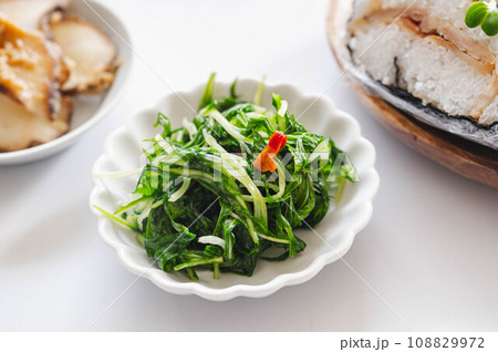 水菜の浅漬け 水菜の浅漬け 108829972