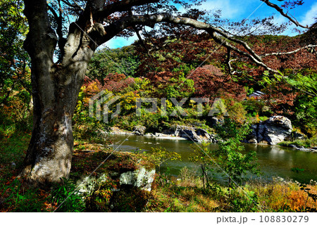 埼玉県 秋の長瀞渓谷の風景 埼玉県 秋の長瀞渓谷の風景 108830279