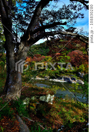 埼玉県 秋の長瀞渓谷の風景 埼玉県 秋の長瀞渓谷の風景 108830280