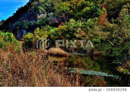 埼玉県 秋の長瀞渓谷の風景 埼玉県 秋の長瀞渓谷の風景 108830298