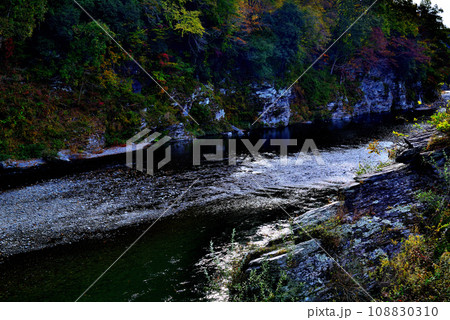 埼玉県　秋の長瀞渓谷の風景 108830310
