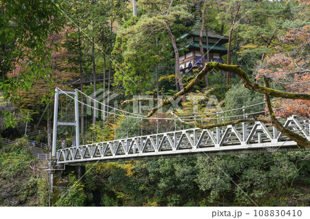 東京アドベンチャーライン 御嶽渓谷 吊り橋と寒山寺 東京都青梅市 東京アドベンチャーライン 御嶽渓谷 吊り橋と寒山寺 東京都青梅市 108830410
