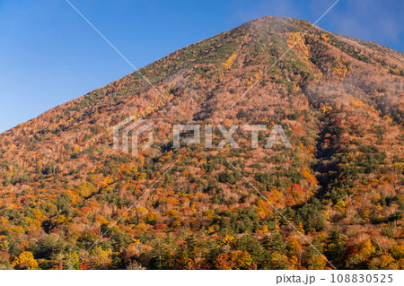 《栃木県》秋の奥日光・紅葉の中禅寺湖 《栃木県》秋の奥日光・紅葉の中禅寺湖 108830525