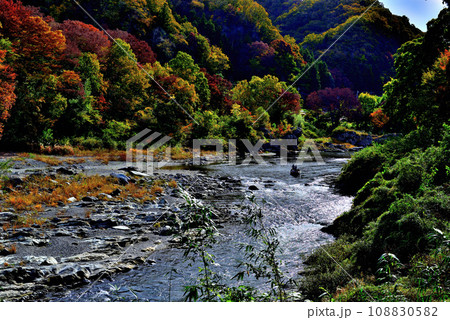 埼玉県 秋の長瀞渓谷 小滝の瀬の風景 埼玉県 秋の長瀞渓谷 小滝の瀬の風景 108830582