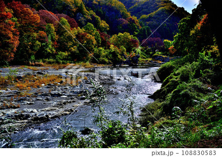 埼玉県 秋の長瀞渓谷 小滝の瀬の風景 埼玉県 秋の長瀞渓谷 小滝の瀬の風景 108830583
