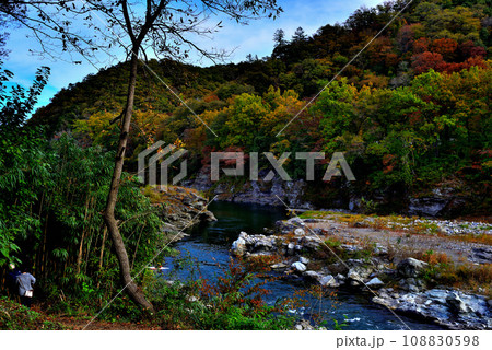 埼玉県　秋の長瀞渓谷 小滝の瀬の風景 108830598