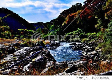 埼玉県 秋の長瀞渓谷 小滝の瀬の風景 埼玉県 秋の長瀞渓谷 小滝の瀬の風景 108830600