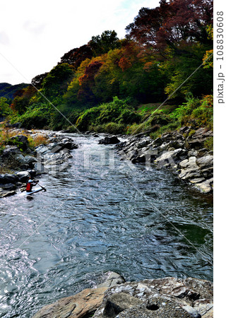 埼玉県 秋の長瀞渓谷 小滝の瀬の風景 埼玉県 秋の長瀞渓谷 小滝の瀬の風景 108830608