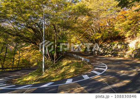 《栃木県》紅葉最盛期の日光いろは坂・第一いろは坂(下り) 《栃木県》紅葉最盛期の日光いろは坂・第一いろは坂(下り) 108830846