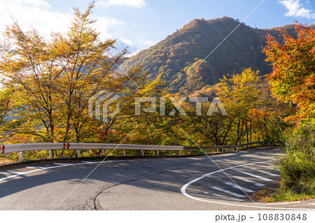 《栃木県》紅葉最盛期の日光いろは坂・第一いろは坂(下り) 《栃木県》紅葉最盛期の日光いろは坂・第一いろは坂(下り) 108830848