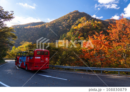 《栃木県》紅葉最盛期の日光いろは坂・第一いろは坂(下り) 《栃木県》紅葉最盛期の日光いろは坂・第一いろは坂(下り) 108830879