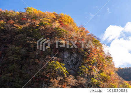 《栃木県》紅葉最盛期の日光いろは坂・第一いろは坂(下り) 《栃木県》紅葉最盛期の日光いろは坂・第一いろは坂(下り) 108830888