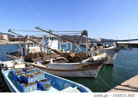 牡蠣 牡蠣 108831360