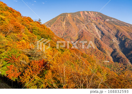 《栃木県》紅葉最盛期の日光いろは坂・明智平の眺望 108832593
