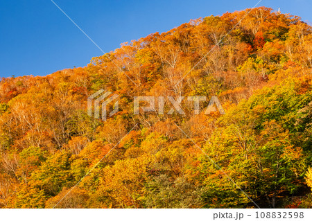 《栃木県》紅葉最盛期の日光いろは坂・明智平の眺望 《栃木県》紅葉最盛期の日光いろは坂・明智平の眺望 108832598