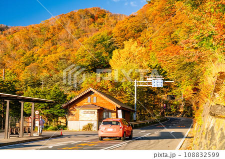 《栃木県》紅葉最盛期の日光いろは坂・明智平の眺望 108832599