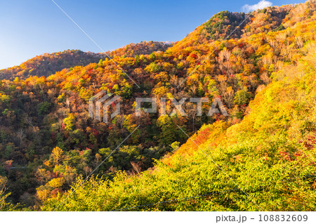 《栃木県》紅葉最盛期の日光いろは坂・明智平の眺望 《栃木県》紅葉最盛期の日光いろは坂・明智平の眺望 108832609