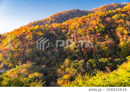 《栃木県》紅葉最盛期の日光いろは坂・明智平の眺望 《栃木県》紅葉最盛期の日光いろは坂・明智平の眺望 108832610