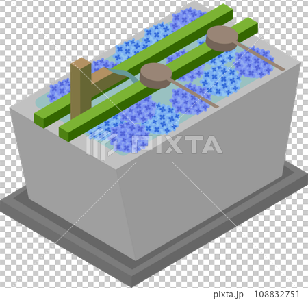 Isometric hydrangea flower hand water Isometric hydrangea flower hand water 108832751