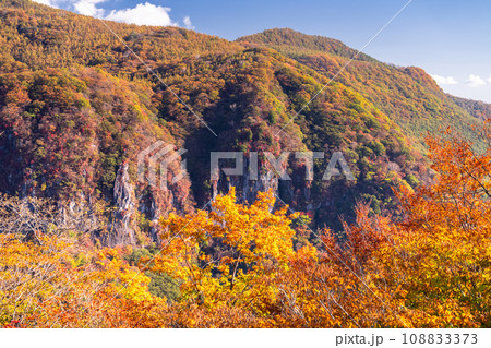 《栃木県》紅葉最盛期の奥日光・明智平ロープウェイの眺望 108833373