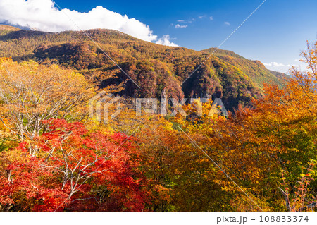 《栃木県》紅葉最盛期の奥日光・明智平ロープウェイの眺望 《栃木県》紅葉最盛期の奥日光・明智平ロープウェイの眺望 108833374