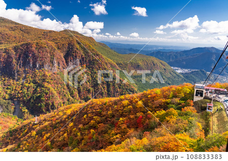 《栃木県》紅葉最盛期の奥日光・明智平ロープウェイの眺望 108833383