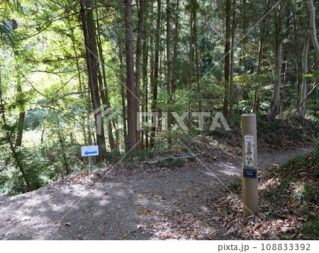 秩父 日本通貨発祥の地 和同開珎銅像への道 秩父 日本通貨発祥の地 和同開珎銅像への道 108833392