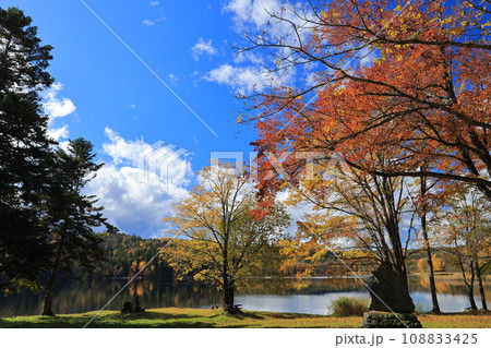 北海道チミケップ湖の紅葉風景 北海道チミケップ湖の紅葉風景 108833425