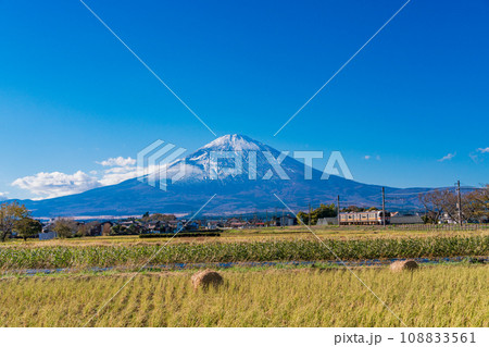 （静岡県）稲刈りの済んだ田んぼの向こうに富士山 108833561